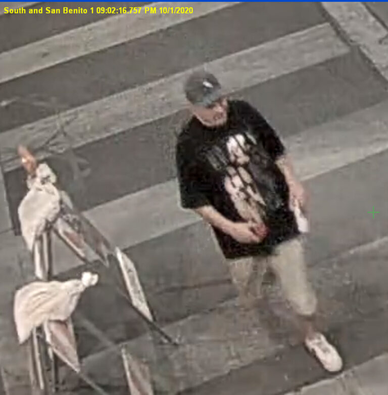 Hollister Police investigate vandalism incidents