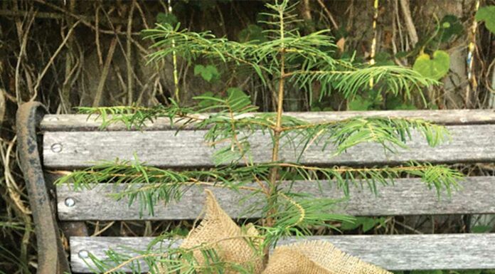 ‘Fill the Vase’ Dec. 5 for local education