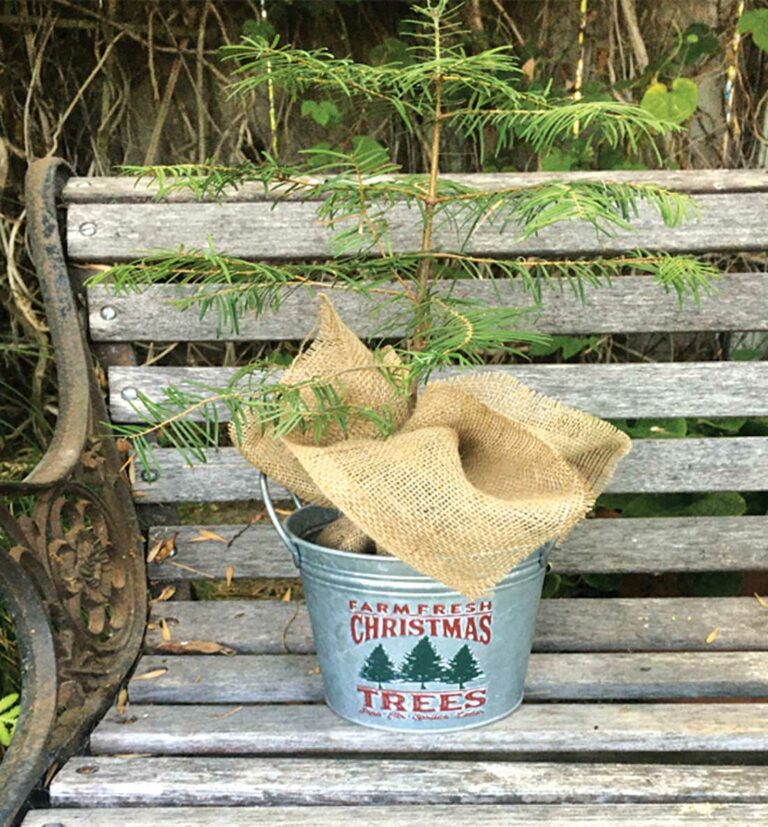 ‘Fill the Vase’ Dec. 5 for local education