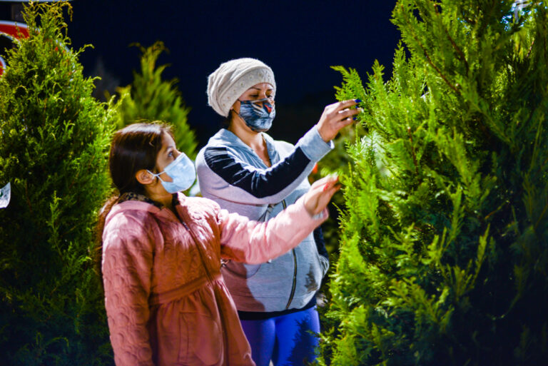 Bourdet’s Christmas Tree Farm offers wide variety in Hollister