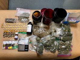 Police: Man arrested for stolen car, drug possession