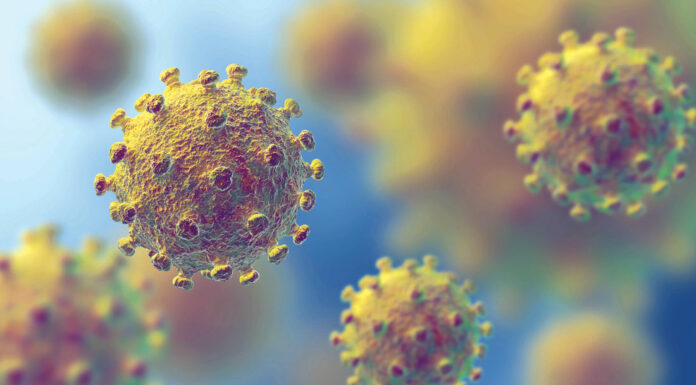 South African coronavirus strain detected in two Bay Area counties