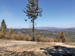 Water shortages and fires loom after a dry winter