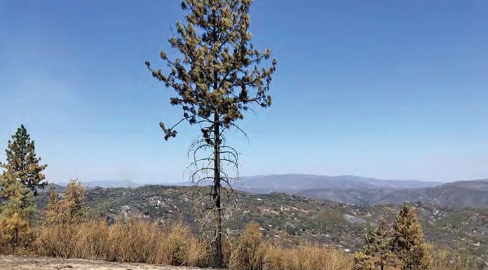 Water shortages and fires loom after a dry winter