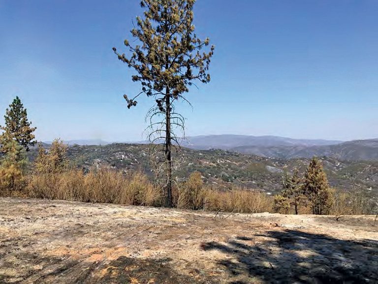 Water shortages and fires loom after a dry winter