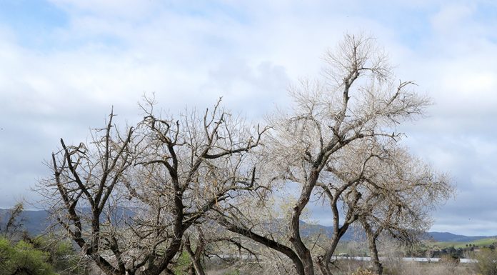 Regional park plans hit another speed bump