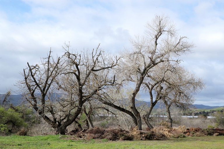 Regional park plans hit another speed bump