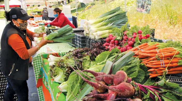 County may soon regulate home kitchens