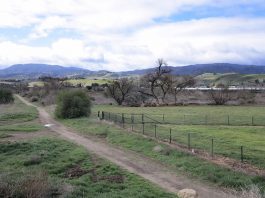 Regional park plans reach ‘milestone’