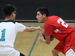 Haybalers exit CCS playoffs but plan on deeper run next season
