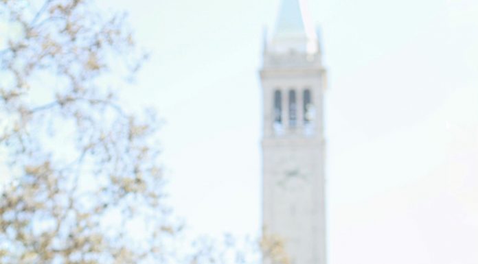 Graduate spotlight: Jaya Waller