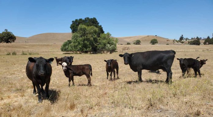 Land Trust acquires 540-acre property near SJB