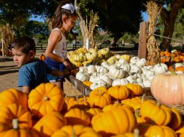 Photos: Hope Harvest returns to Historical Park