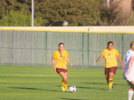 Former San Benito High standouts power Hartnell to historic season