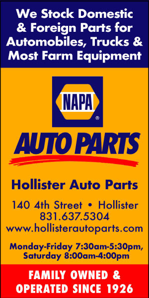 Napa Auto Parts in Hollister