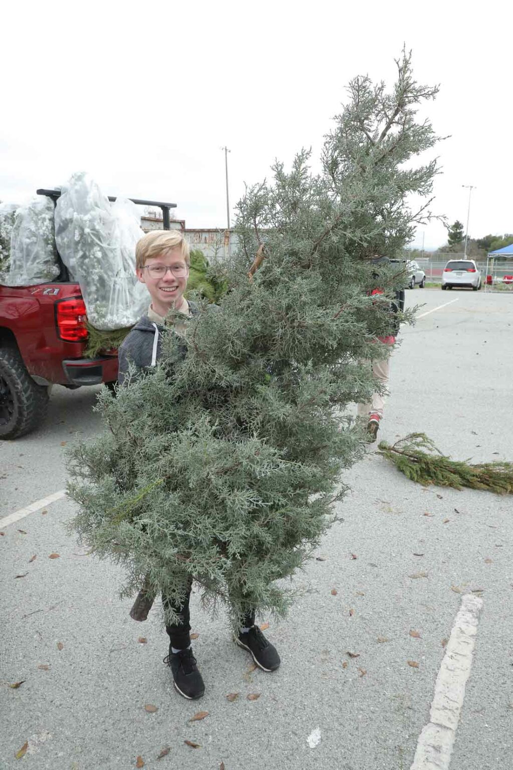 San Benito County Recology customers can recycle Christmas trees ...