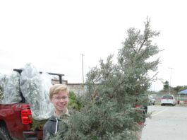San Benito County Recology customers can recycle Christmas trees