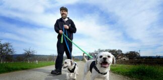 adopt my block daniel martinez dog rescue