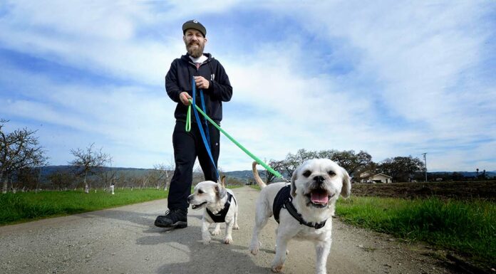 adopt my block daniel martinez dog rescue