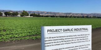 camino arroyo highway 152 project garlic industrial amazon delivery center farmland agriculture