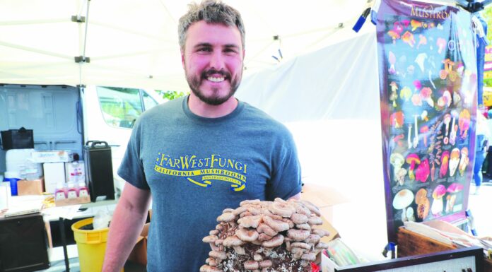 Mushroom Mardi Gras returns to Morgan Hill in 2022