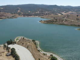 Guest view: Our Water Supply, The Elixir of Life