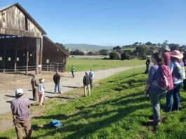 Land trusts join forces to protect Nyland property