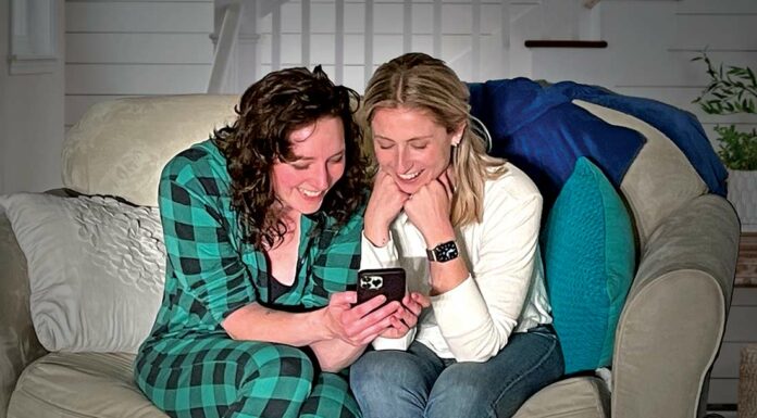 tigers be still south valley civic theatre limelight