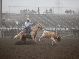 Current San Benito High, recent graduates advance to National High School Rodeo Association Finals in Wyoming