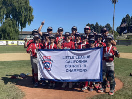 Hollister 11U, 12U Little League All Star teams win District titles 