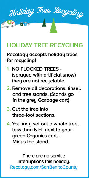 recology san benito, christmas tree recycling pickup disposal