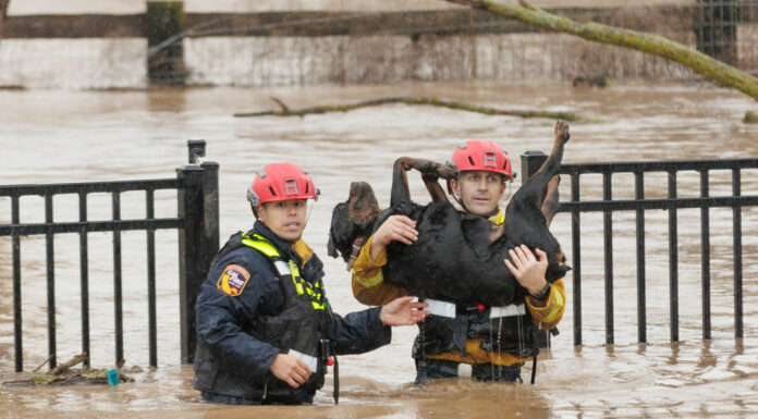 County rescues 23 people from Lovers Lane