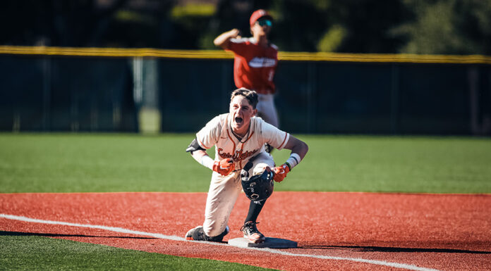 Los Gatos, Hollister baseball teams have the potential for truly special seasons
