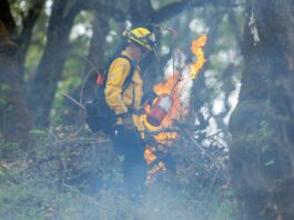 Seasons change as Cal Fire completes controlled burn