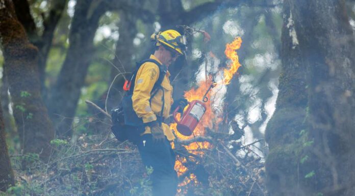 Seasons change as Cal Fire completes controlled burn