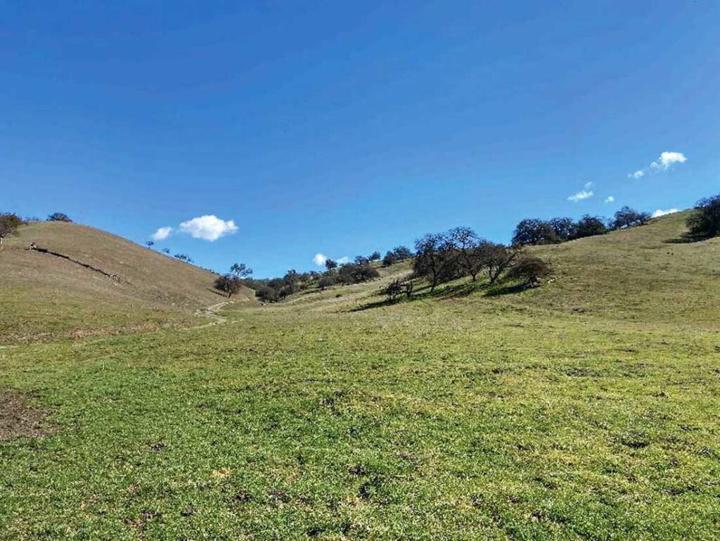 Trust, family preserve 4,500 acres in south San Benito County Hollister, San
