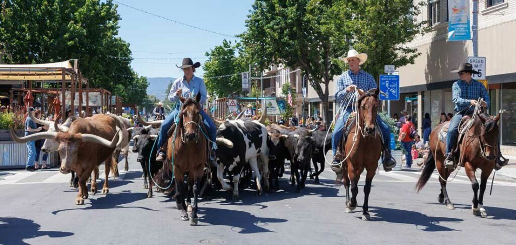 It's rodeo time - SanBenito.com | Hollister, San Juan Bautista, CA