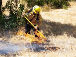 BLM eases fire restrictions