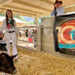Image for display with article titled Junior Livestock Auction Raises $1.2M