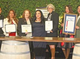 san benito county chamber awards maria cid