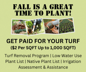 water resources fall planting irrigation
