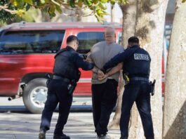 Suspect allegedly drove stolen van to probation appointment