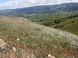 Ranch purchase adds to Bay Area Ridge Trail plan
