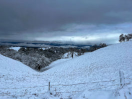 Snow survey shows modest increase, warmer year
