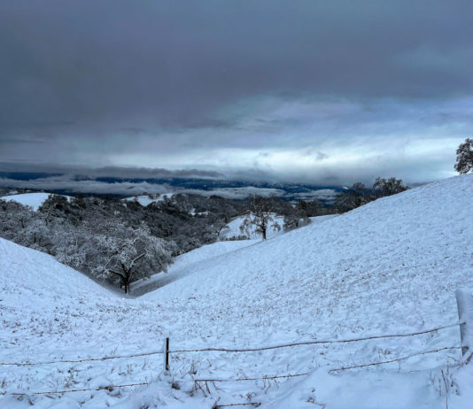 Snow survey shows modest increase, warmer year