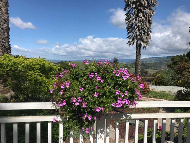 Visit Aromas for May 11 Garden Tour