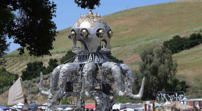 Burning Man comes to Tres Pinos