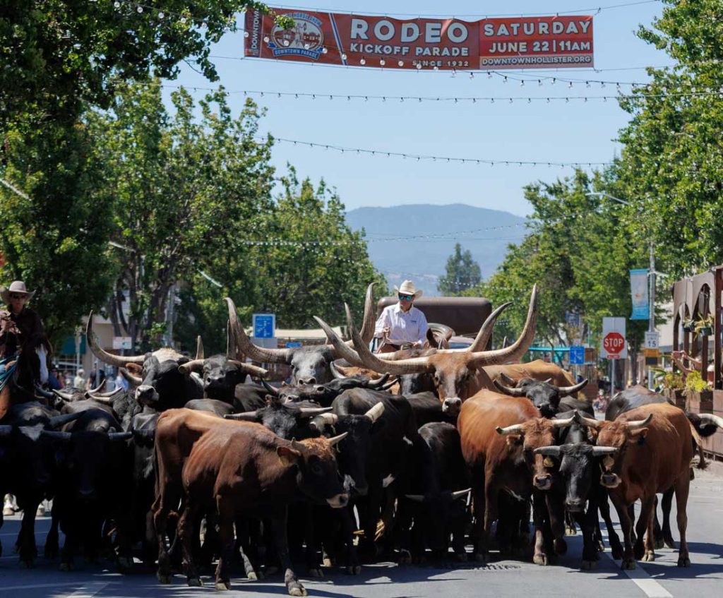 Image for display with article titled Rodeo Time