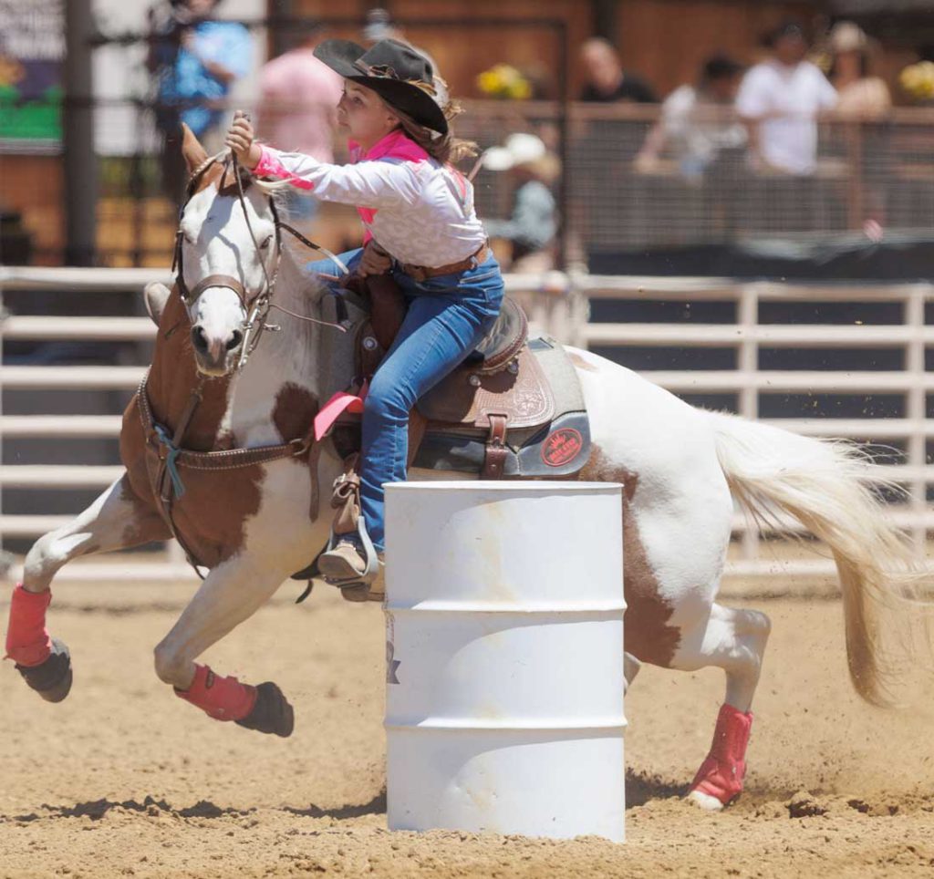 Image for display with article titled Rodeo Celebrates Local Legacy