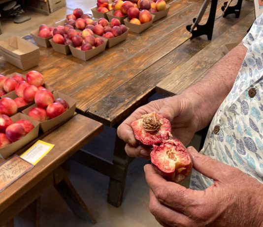 In season at Andy’s Orchard